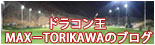 ドラコン王 MAX-TORIKAWAのブログ